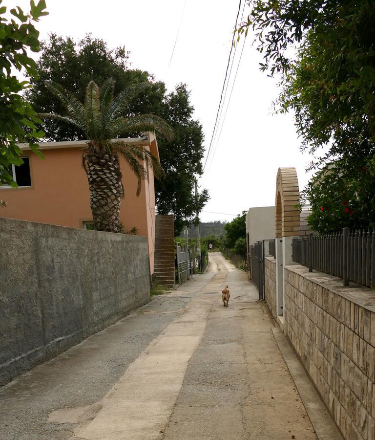 Apartmani Scepanovic Sutomore Ngoại thất bức ảnh